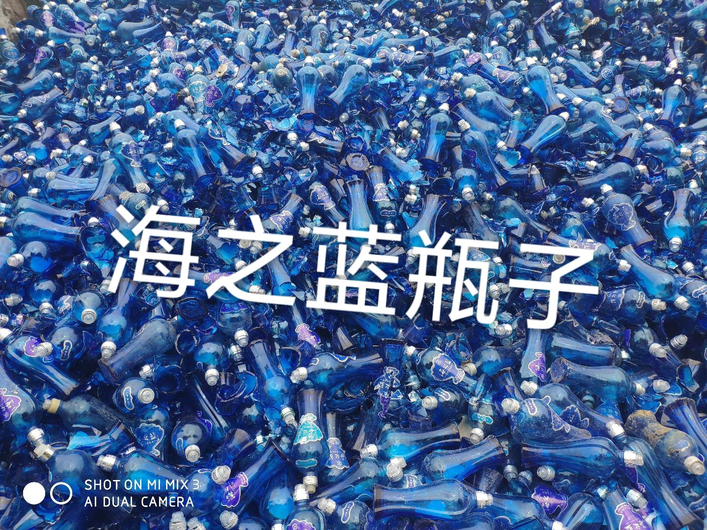 清江浦区海之蓝瓶回收